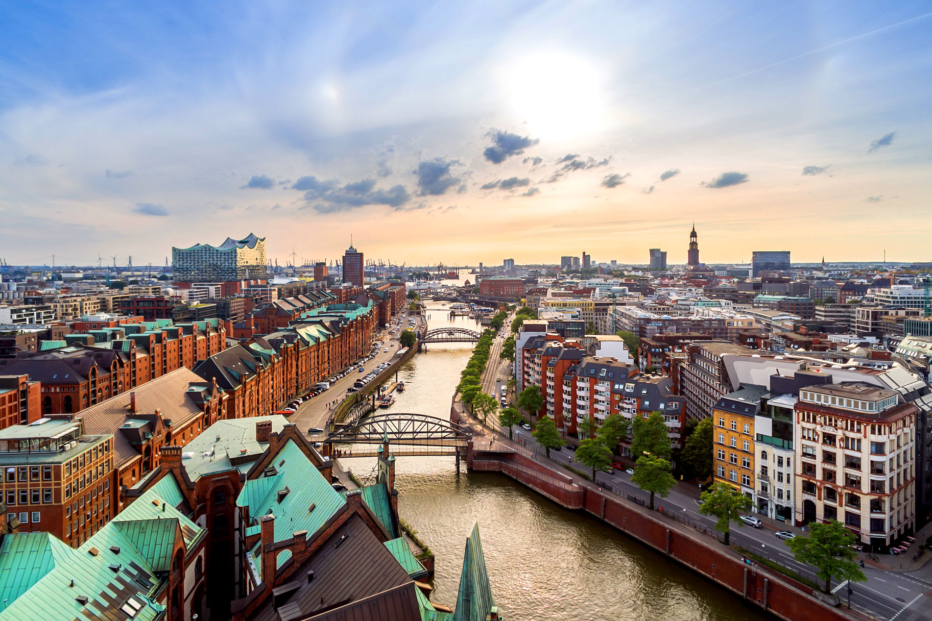 Appear Fifth days Fruit